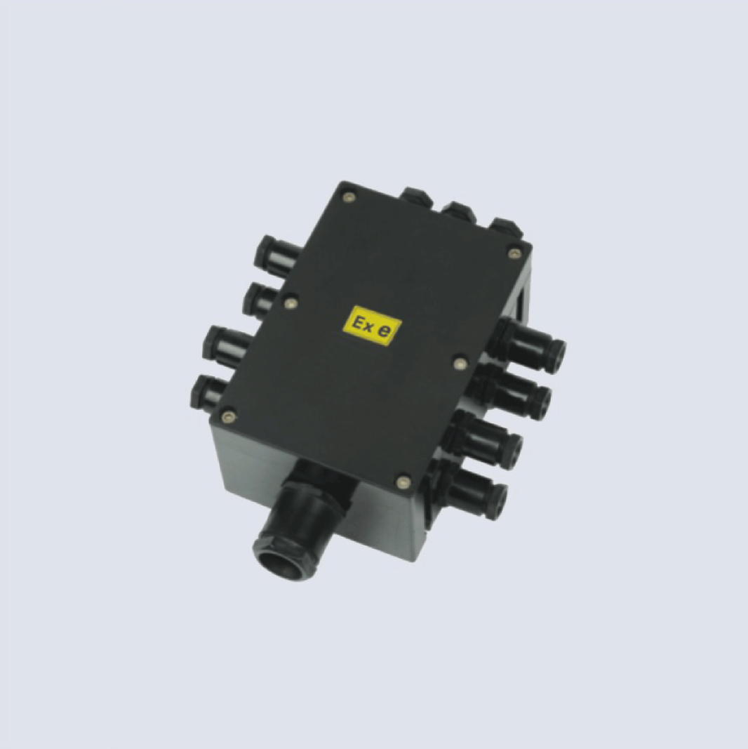 BJX8050系列防爆防腐接線箱(II C、 ExtD)